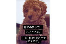 写真47696_2