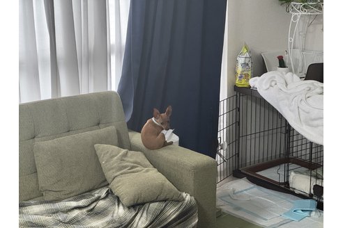 写真47763_2