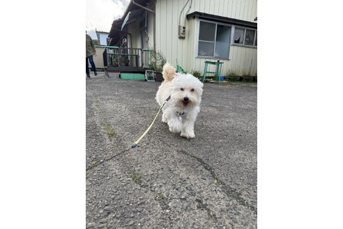 写真47770_1