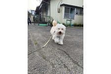 写真47770_1