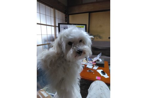 写真47770_2