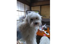 写真47770_2