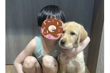 写真47783_1