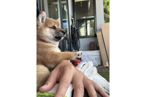 写真47786_2