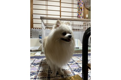 写真47808_2