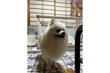 写真47808_2