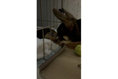 写真47842_3