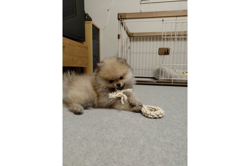 写真47848_2