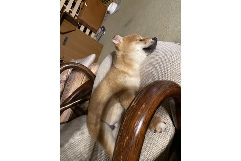 写真47856_1