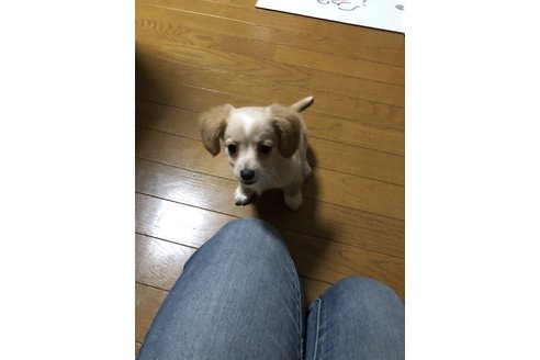 写真47867_1