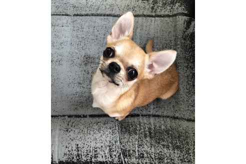 写真47905_2
