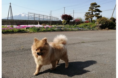 写真47912_2