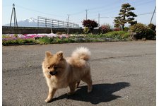 写真47912_2
