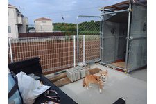 写真47917_1