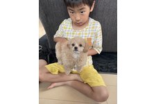 写真47931_2