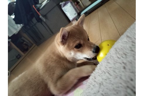 写真47948_3