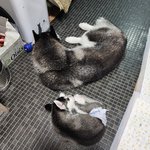 写真47957_3