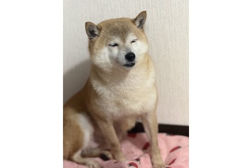 写真47986_1