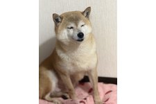 写真47986_1