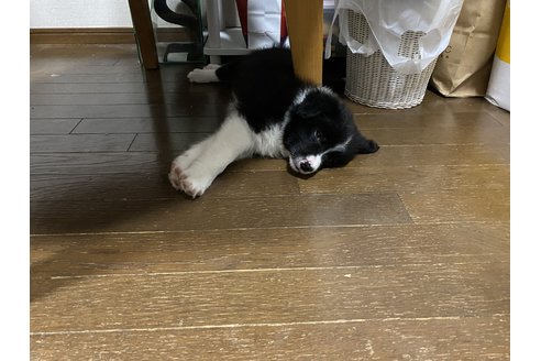 写真48009_1