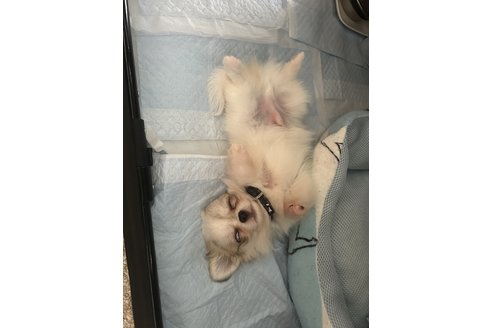 写真48039_2