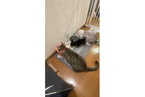 写真48094_1