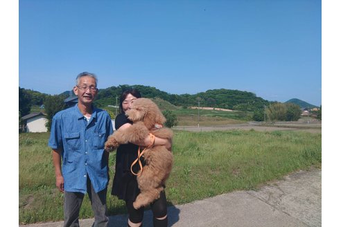 写真48270_1