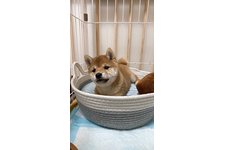 写真48277_1