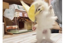 写真48280_4
