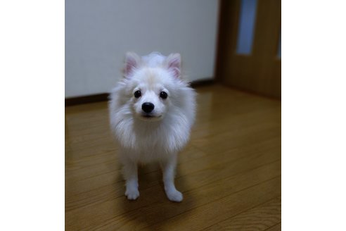 写真48284_1