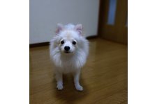 写真48284_1