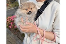 写真48300_3