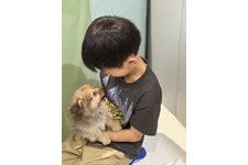 写真48309_1