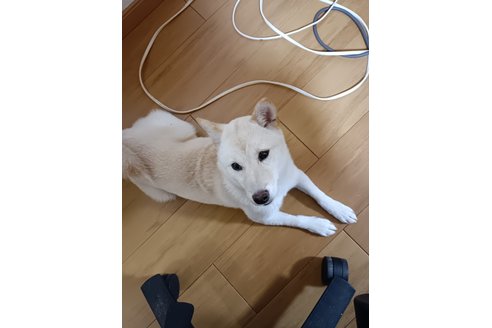 写真48310_1