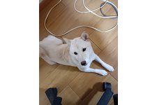 写真48310_1