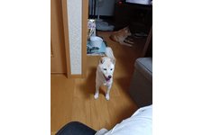 写真48310_4