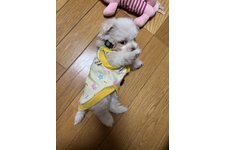 写真_3