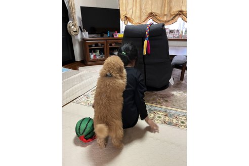 写真48338_1