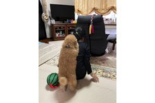 写真_1