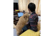 写真_4