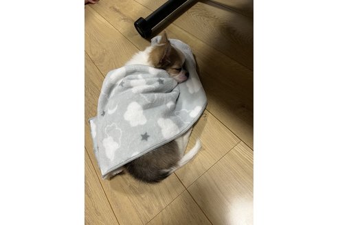 写真48375_4