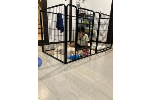写真48388_3