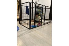 写真48388_3