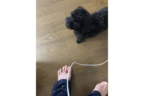 写真48396_2
