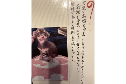 写真48430_2