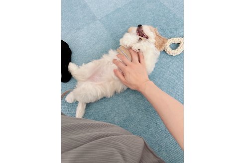 写真48433_1