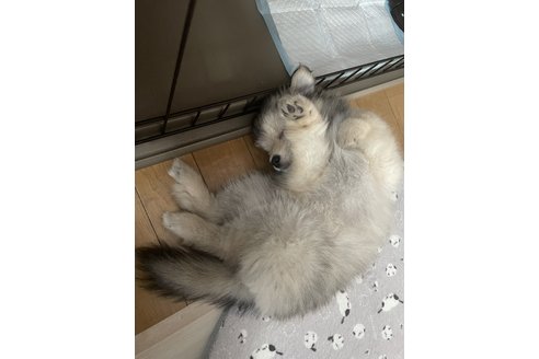 写真48457_2