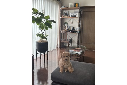写真48469_3