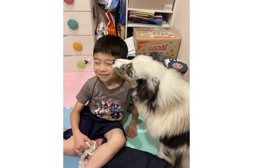 写真48474_2