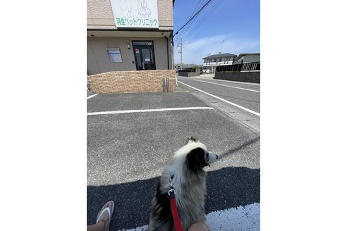 写真48474_3